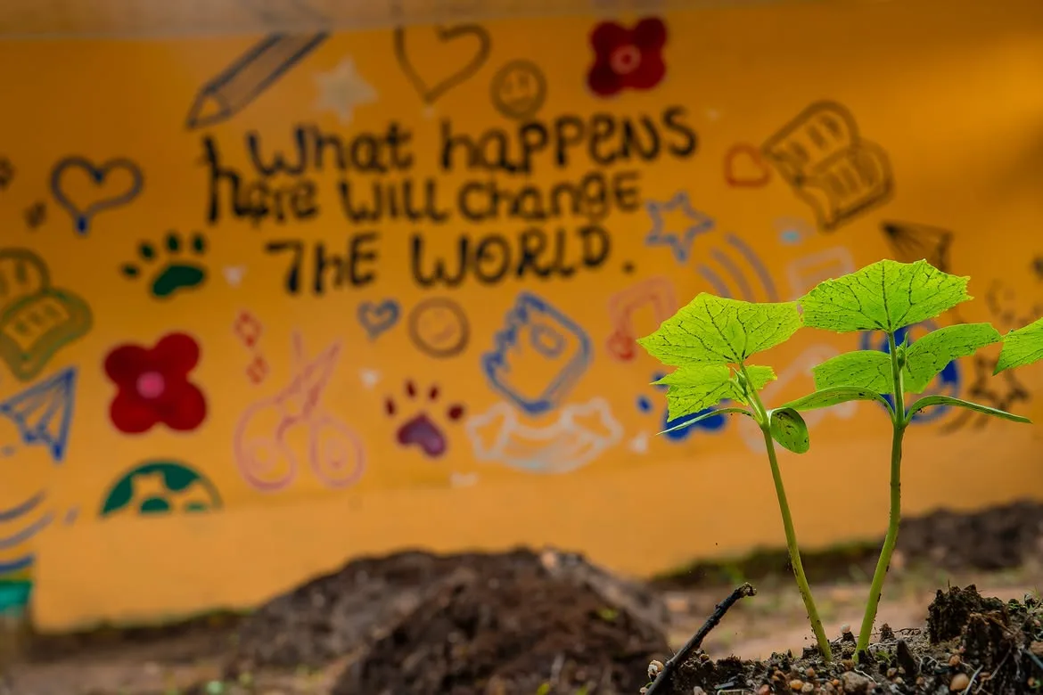 Young plants growing in the school’s indoor Love Garden